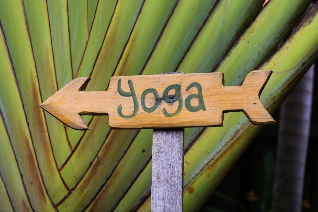 Matra Bali Guesthouse Canggu  Ngoại thất bức ảnh